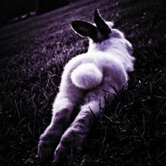 Залина Ревазова, 25.01.1970, Одинцово