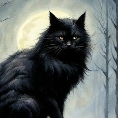 Сергей Кошкин, Дмитров