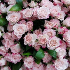 Лалита Амирханова, 02.10, Магас