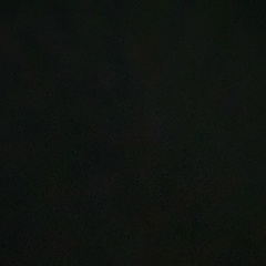 Наталья Беспалова, Москва