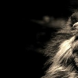 Казбек Хашхожев, 23.12.1993, Ростов-на-Дону