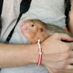 Андрей Капитан, 23.02, Санкт-Петербург