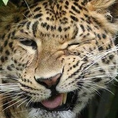 Ислам Зайнулабидов, 24.03.2003, Хасавюрт