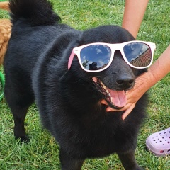 Светлана Z, 03.06, Сочи