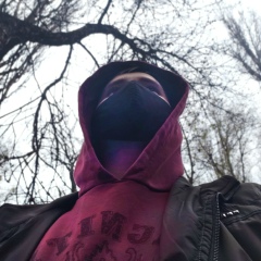 Денис Петух, Гомель