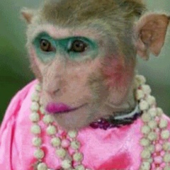 Та Самая, 04.07, Санкт-Петербург