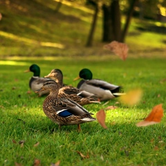 Виктория Жученко, 07.08