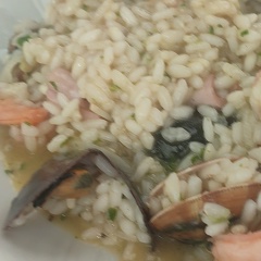 Jake The-Snake, 27.10.1965, Milano