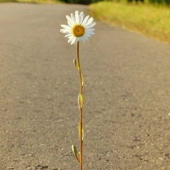 Владимир Панкратов, 15.07, Волгоград
