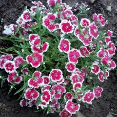 Айтгуль Аширбекова, 22.08.1987, Алматы