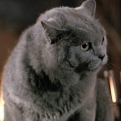 Алексей Ивич, 03.09.1989, Novska