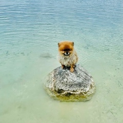 Анастасия , Санкт-Петербург