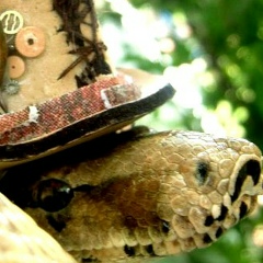 Евгений Жигалов, 24.10.1970, Екатеринбург