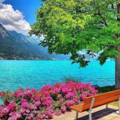 Куляш Алтынбеккызы