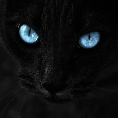 Дмитрий Родионов, 24.10.1990, Москва