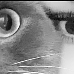 Ольга Васильева, 24.10, Красноярск