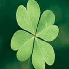 Эйре Эйре, 12.09.1966, Санкт-Петербург