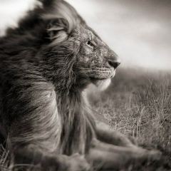 Дмитрий Львов, 25.01.1974, Самара