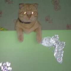 Ольга Юхтина, Тюмень