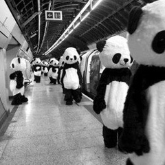 Miyakobassss Alexandru, 13.08.2000, Râmnicu Vâlcea