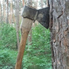 Вадим Садковой, 01.05.1993, Харьков