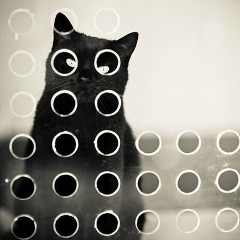 Юлия Новикова, 26.01