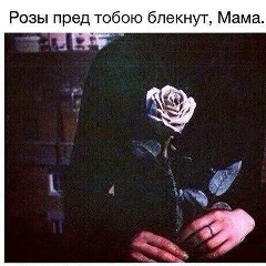 Aziz Osmanov, 09.10, Los Angeles