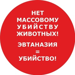 Ольга Табелова, 05.03, Санкт-Петербург