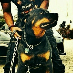 Павел Павлов, 25.10, Санкт-Петербург