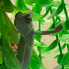 Наталья Иванова, 22.06, Красноярск