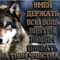 Аслан Фамильев, 02.01, Магас