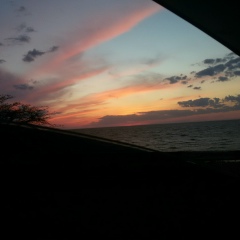 Павел Токарев, 21.07.1987, Ростов-на-Дону