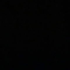 Яна Дворкина, 13.08.1990, Москва