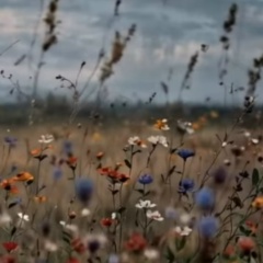 Анастасия Кузнецова, Санкт-Петербург