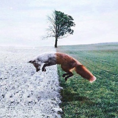 Валерий Петров, 09.11, Кемерово