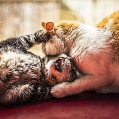 Раиса Хизриева, Пыть-Ях