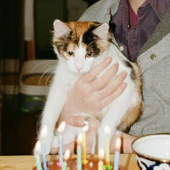 Ислам Юсупов, 05.11, Москва