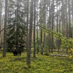 Kola Domin, 08.06