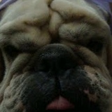 Josiani Menezes, 09.01.1985, São Paulo