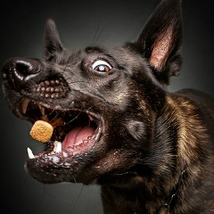 Саня Алексеев, 08.03.1995, Москва