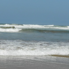 Таня Логинова, Санкт-Петербург