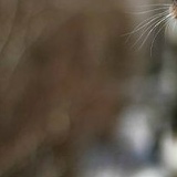 Денис Сергеевич, 01.04, Москва