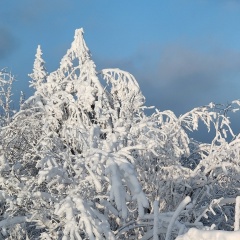 Татьяна Кашина, 29.03, Пермь