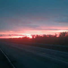 Александр Сороколетов, Белгород