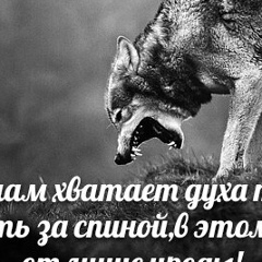 Ильхомжан Мустафаев, 06.07, Bangkok