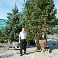 Николай Юдин, 19.02.1985, Белгород