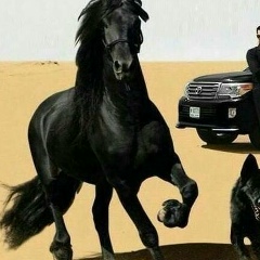 Руслан Маликов, 16.03.1972, Алматы