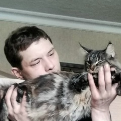 Денис Шашин, 08.12.1981, Санкт-Петербург