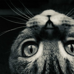 Eugeny Kiselev, 24.09.1971, Череповец