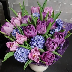Алла Куцак, 07.04, Москва